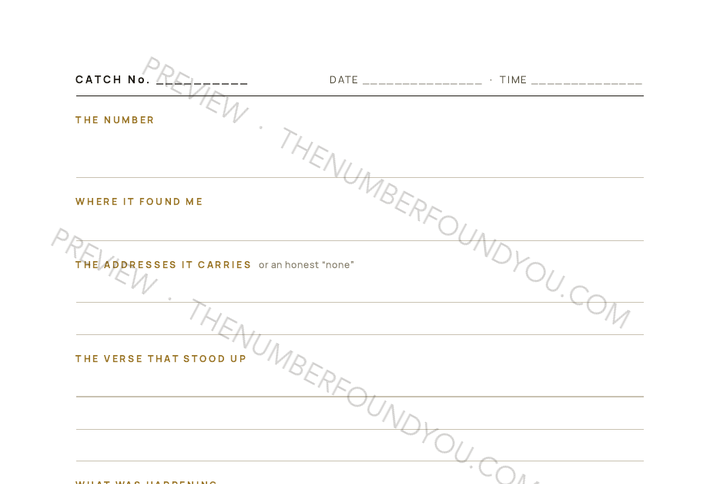 A printable catch page with gold field labels on white